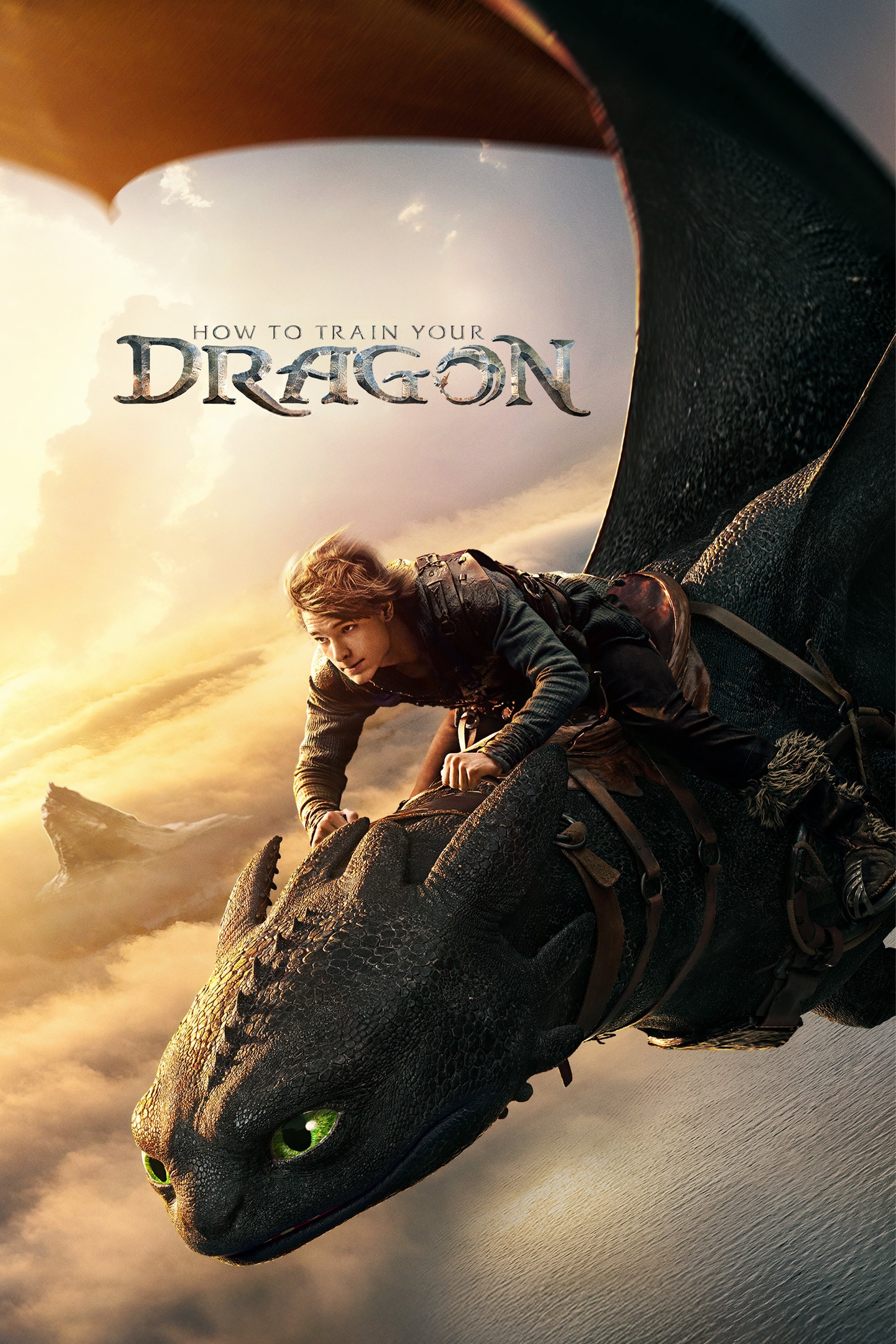 How to Train Your Dragon